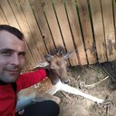  ,   , 37 ,   ,   , 