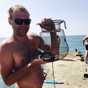 ���������� ���������, ���� ������� ����, 40 ���, ������������ ��� ������, ����� � ���������, c�������� ���������