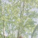  ,   Mikhail, 44 ,   ,   , c , 