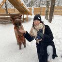 ���������� ����������, ���� ������� ���������, 38 ���, ������������ ��� ������, ����� � ���������, c�������� ���������