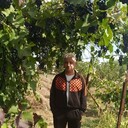  ,   , 54 ,     , c , 