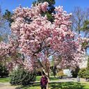  Beziers,   , 24 ,   ,   , 