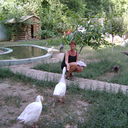  ,   , 52 ,     , c 