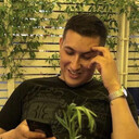 ���������� �����-���������, ���� ������� ����, 34 ����, ������������ ��� ������, ����� � ���������, c�������� ���������, ���������