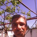 ���������� �����������, ���� ������� Lir934, 59 ���, ������������ ��� ������, ����� � ���������, c�������� ���������