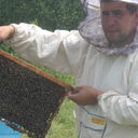  ,   , 40 ,   ,   , c 