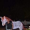  ,   , 55 ,   ,   , c 