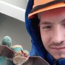   ,   , 29 ,   ,   , c , 