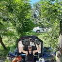 ���������� �����������, ���� ������� ������, 38 ���, ������������ ��� ������, ����� � ���������, ���������