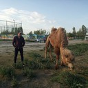 ���������� ������, ���� ������� ���, 30 ���, ������������ ��� ������, ����� � ���������, c�������� ���������