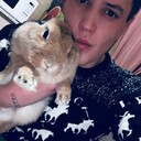 ���������� ������, ���� ������� �������, 28 ���, ������������ ��� ����� � ���������, c�������� ���������