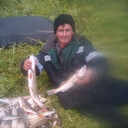  ,   , 49 ,   ,   , c , 