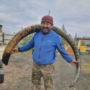 ���������� ������, ���� ������� ���������, 43 ����, ������������ ��� ������, ����� � ���������