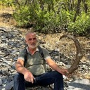  ,   Rayber, 98 ,   ,   