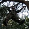  ,   LEON, 39 ,   