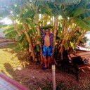  ,   , 40 ,   ,   