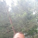 ���������� �������, ���� ������� ����, 33 ����, ������������ ��� ������, ����� � ���������, c�������� ���������