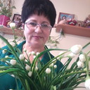 ���������� ������, ���� ������� ������ �����, 58 ���, ������������ 