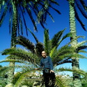  ,   , 45 ,   ,   , c 