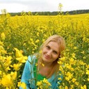 ���������� �����, ���� ������� ���������, 36 ���, ������������ 