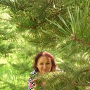  ,   , 62 ,     , c 