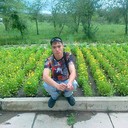 ���������� �������������, ���� ������� ������, 31 ���, ������������ ��� ������, ����� � ���������, c�������� ���������