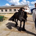 ���������� �����-���������, ���� ������� �������, 57 ���, ������������ ��� ������, ����� � ���������