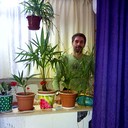  ,   , 51 ,   