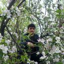 ���������� �������, ���� ������� ������, 33 ����, ������������ ��� ������, ����� � ���������, c�������� ���������, ���������