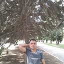  ,   Said, 43 ,     , c , 