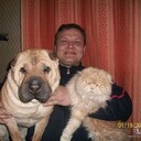  ,   , 55 ,   ,   , c 