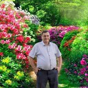 ���������� �������, ���� ������� ����, 49 ���, ������������ ��� ����� � ���������, c�������� ���������