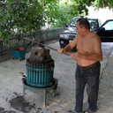  ,   , 61 ,   ,   , c , 