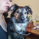  ,   , 46 ,   c 
