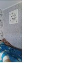  ,   , 54 ,   
