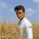 ���������� �������, ���� ����� ������, 25 ���, ������������ ��� ������, ����� � ���������, ���������