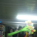  ,   , 54 ,   ,   , c 