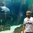 ���������� ����, ���� ������� �����, 41 ���, ������������ ��� ������, ����� � ���������