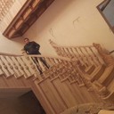  ,   Alisher, 36 ,   ,   , c , 