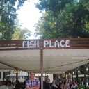 ���������� ��������, ���� ������� �������, 36 ���, ������������ ��� ������