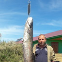 ���������� ������, ���� ������� �������, 46 ���, ������������ ��� ������