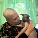 ���������� ������, ���� ������� �����, 45 ���, ������������ ��� ����� � ���������, c�������� ���������