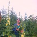 ���������� ���������, ���� ������� �����, 52 ����, ������������ ��� ������, ����� � ���������, c�������� ���������