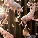  ,   , 25 ,   ,   , c , 