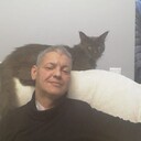  ,   , 51 ,     , c , 