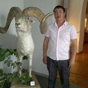  ,   Mustang, 38 ,  