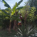  ,   , 57 ,   ,   