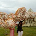  ,   , 54 ,   ,   , c 