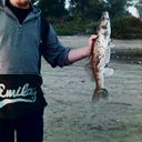  ,   Vokal, 67 ,   