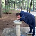 ���������� �������, ���� ������� �����, 41 ���, ������������ ��� ������, ����� � ���������, c�������� ���������